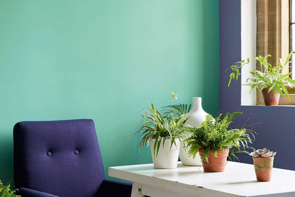 Farbe Little Green